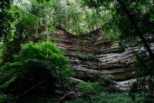 Free Scenic view of a forested cliff with lush greenery and natural rock formations. Stock Photo