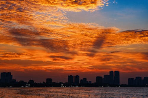 Gratis stockfoto met dageraad, gouden lucht, horizon Stockfoto