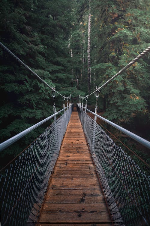 Free First Perspective Photography of Hanging Bridge Stock Photo