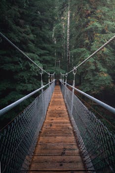 First Perspective Photography of Hanging Bridge with the Quote "You can't make someone feel good about themselves until you feel good about yourself." written on it and have average color value #353633