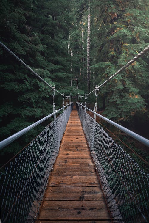 First Perspective Photography of Hanging Bridge