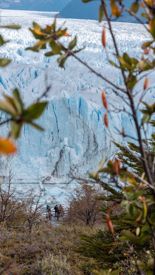 Gratis lagerfoto af Argentina, dal, gletsjer