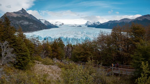 Foto d'estoc gratuïta de arbres, Argentina, gel