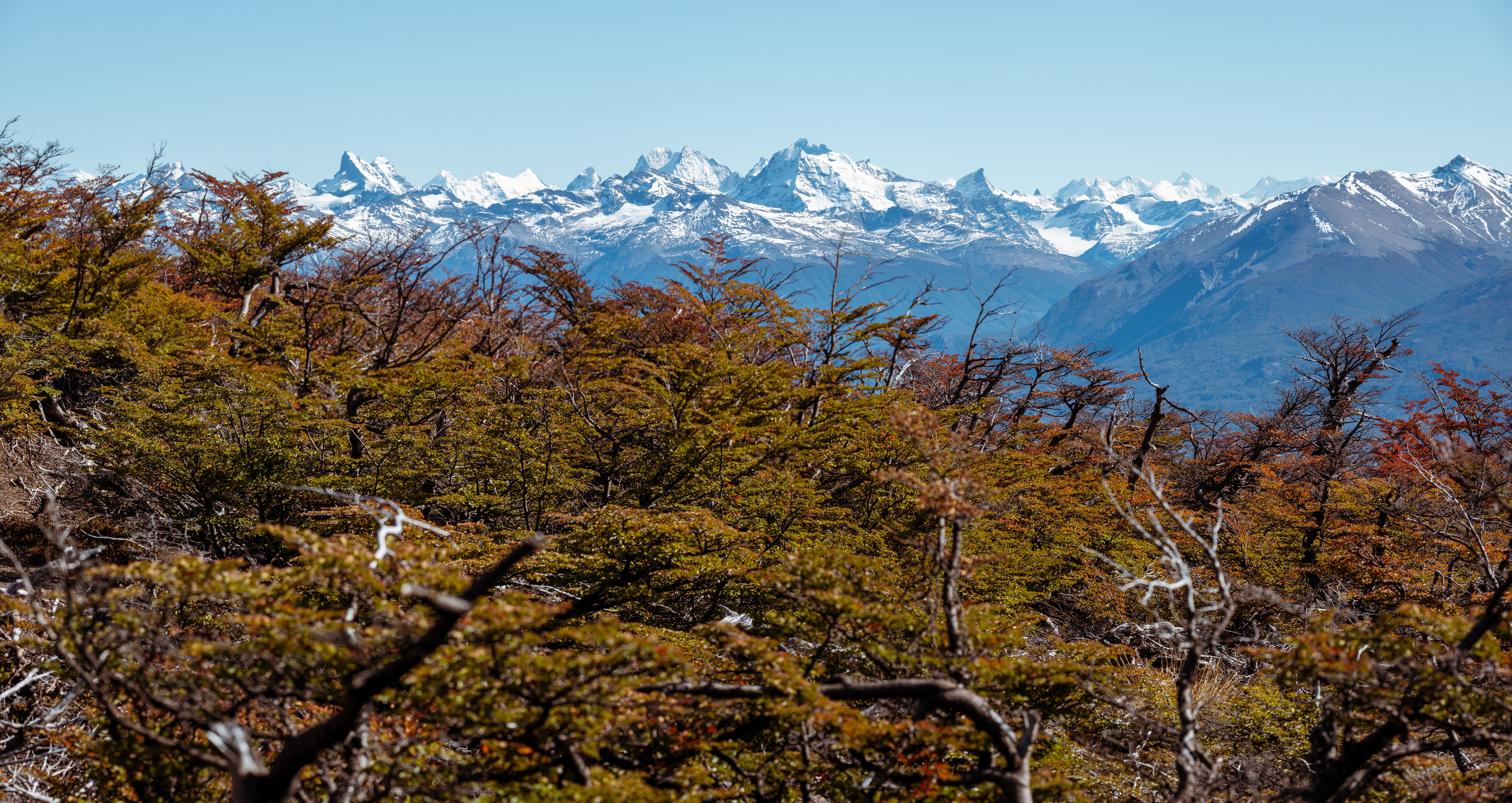 patagonia environmental sustainability
