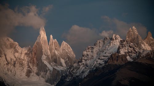 Foto profissional grátis de bicos, corroído, estéril