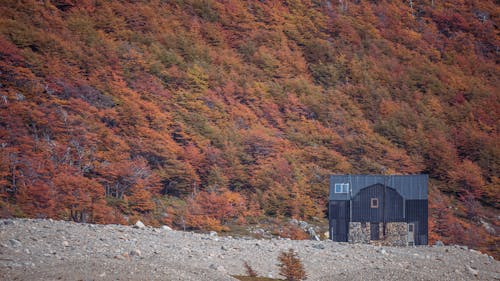 Fotobanka s bezplatnými fotkami na tému chata, drevený dom, jeseň