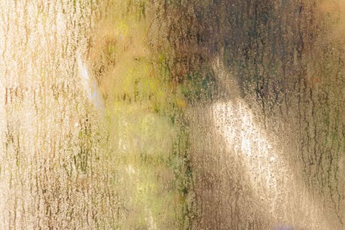 Darmowe zdjęcie z galerii z jasny, krople, mgła