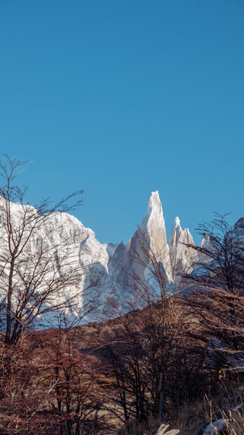 Foto profissional grátis de árvores, cenário, céu limpo