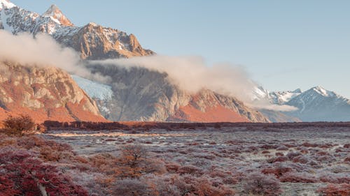 Hoarfrost on Bushes on Grassland with Mountains around