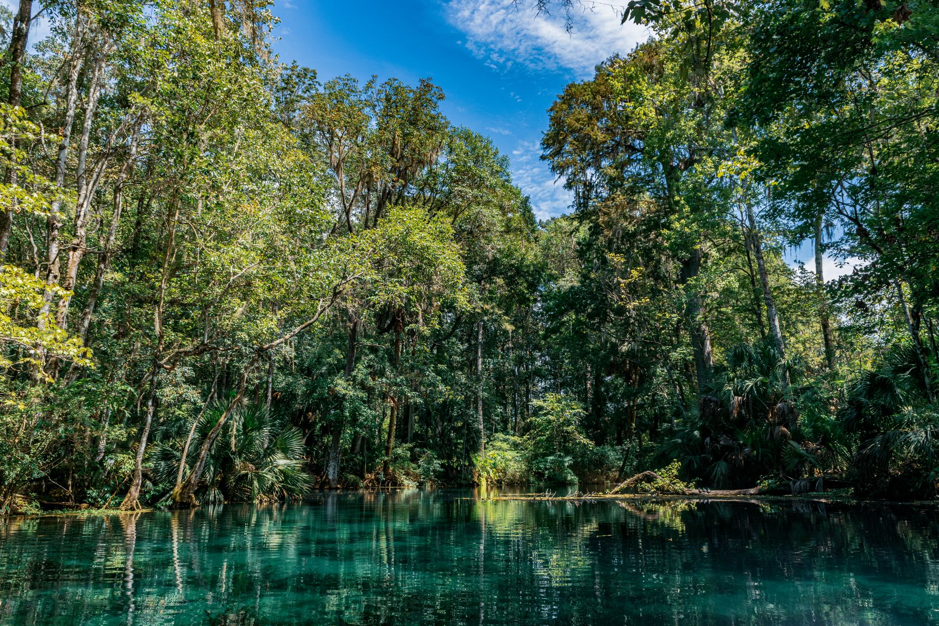 Ocala, Ocala FL — neighborhood review