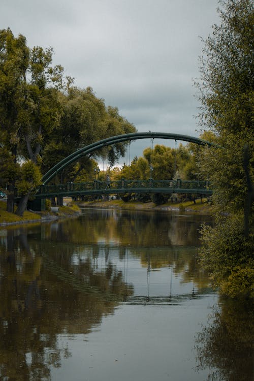 Foto stok gratis hijau, jembatan kaki, jembatan penyeberangan