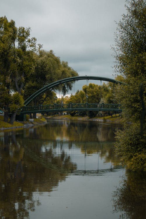 Základová fotografie zdarma na téma lávka, lávky, park