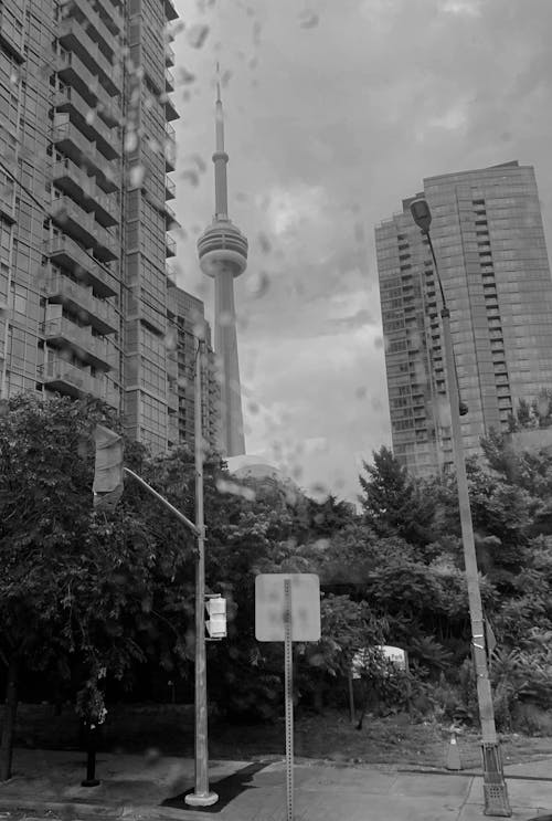 Ingyenes stockfotó cn torony, downtown toronto, fekete-fehér témában