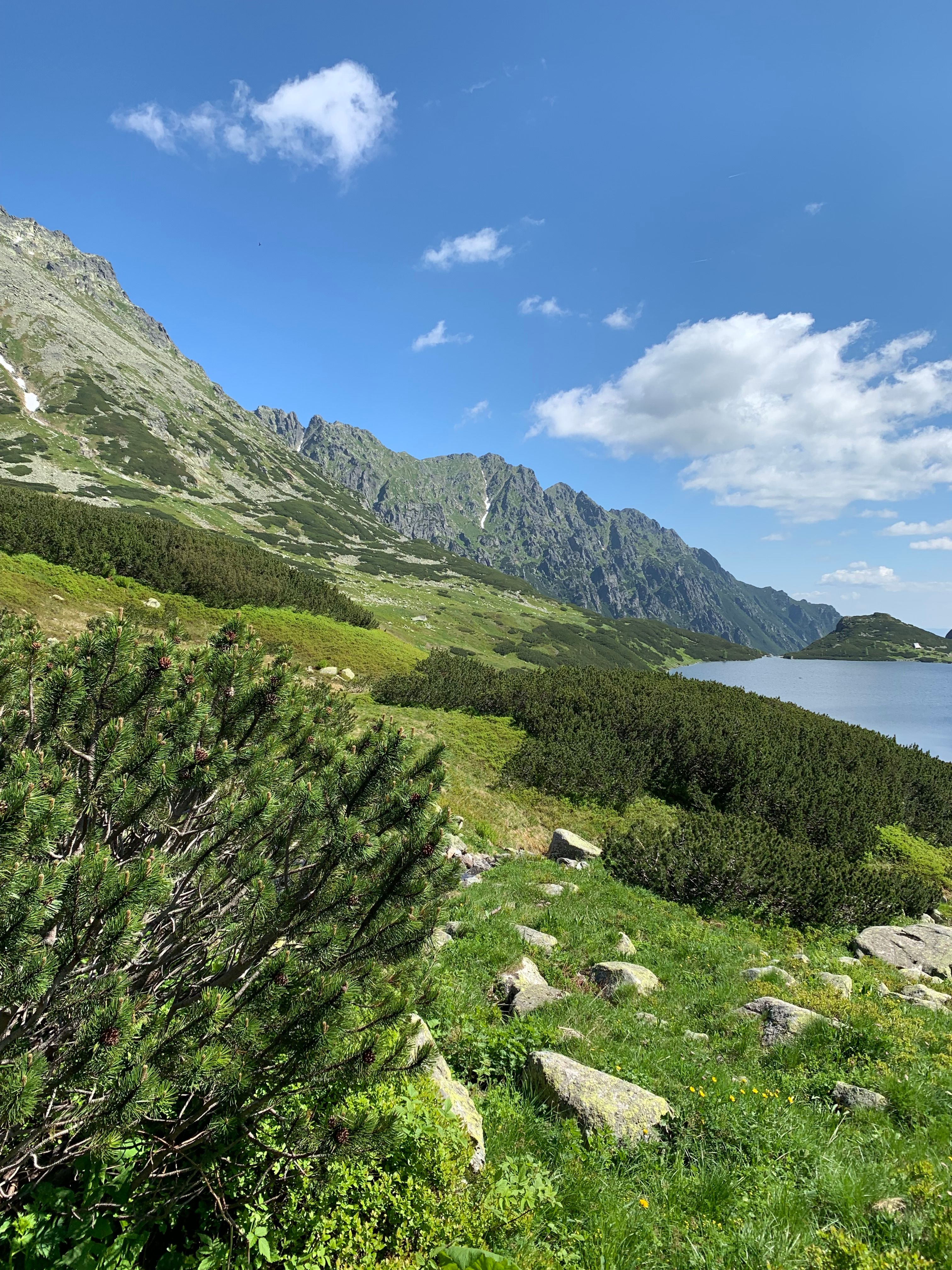 Green Hill with Rocks behind · Free Stock Photo