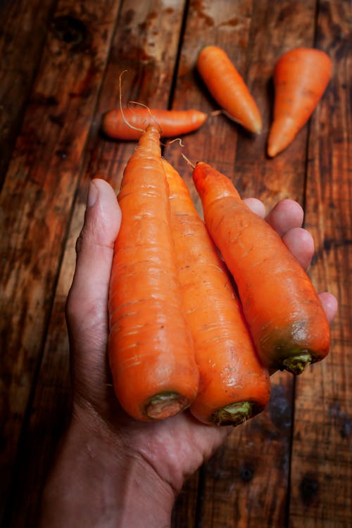Holding Washed Carrots