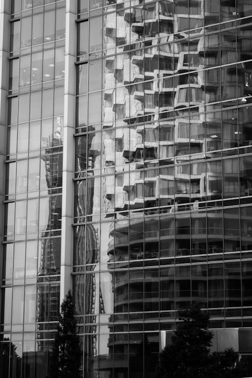 Reflection in Building Windows