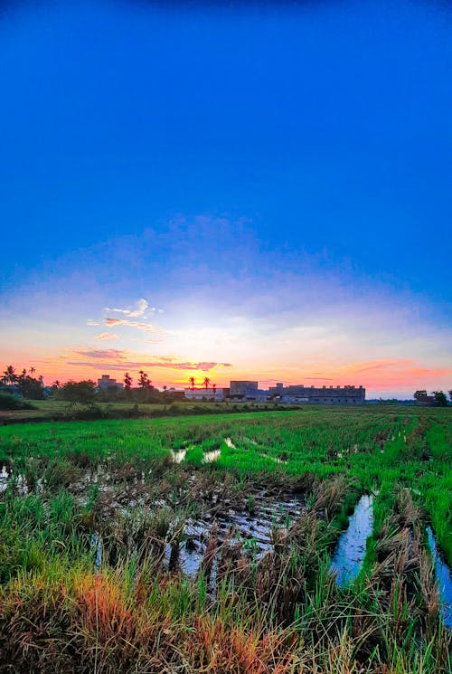 Základová fotografie zdarma na téma krása přírody, krásná příroda, ráno