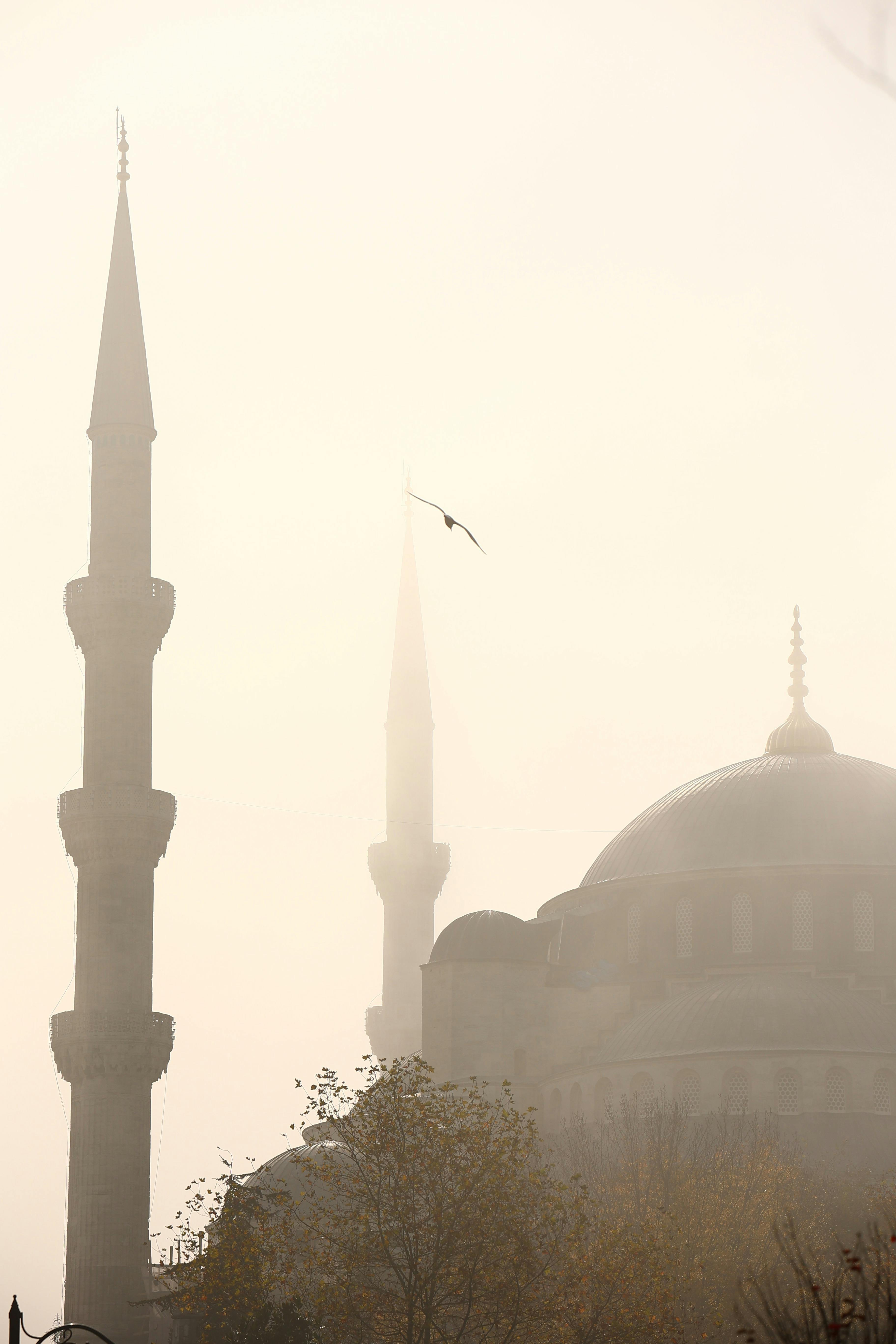 A foggy morning view of the Blue Mosque's majestic minarets in Istanbul, Türkiye.