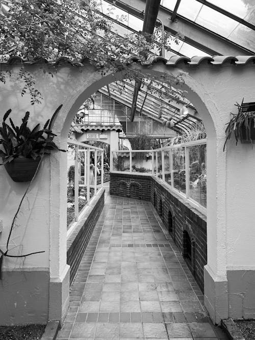 Alley with Plants in Black and White