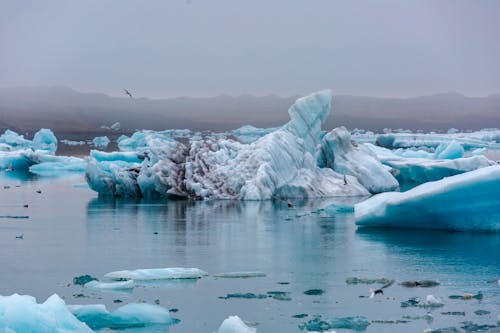 Ice and Snow on Sea Coast