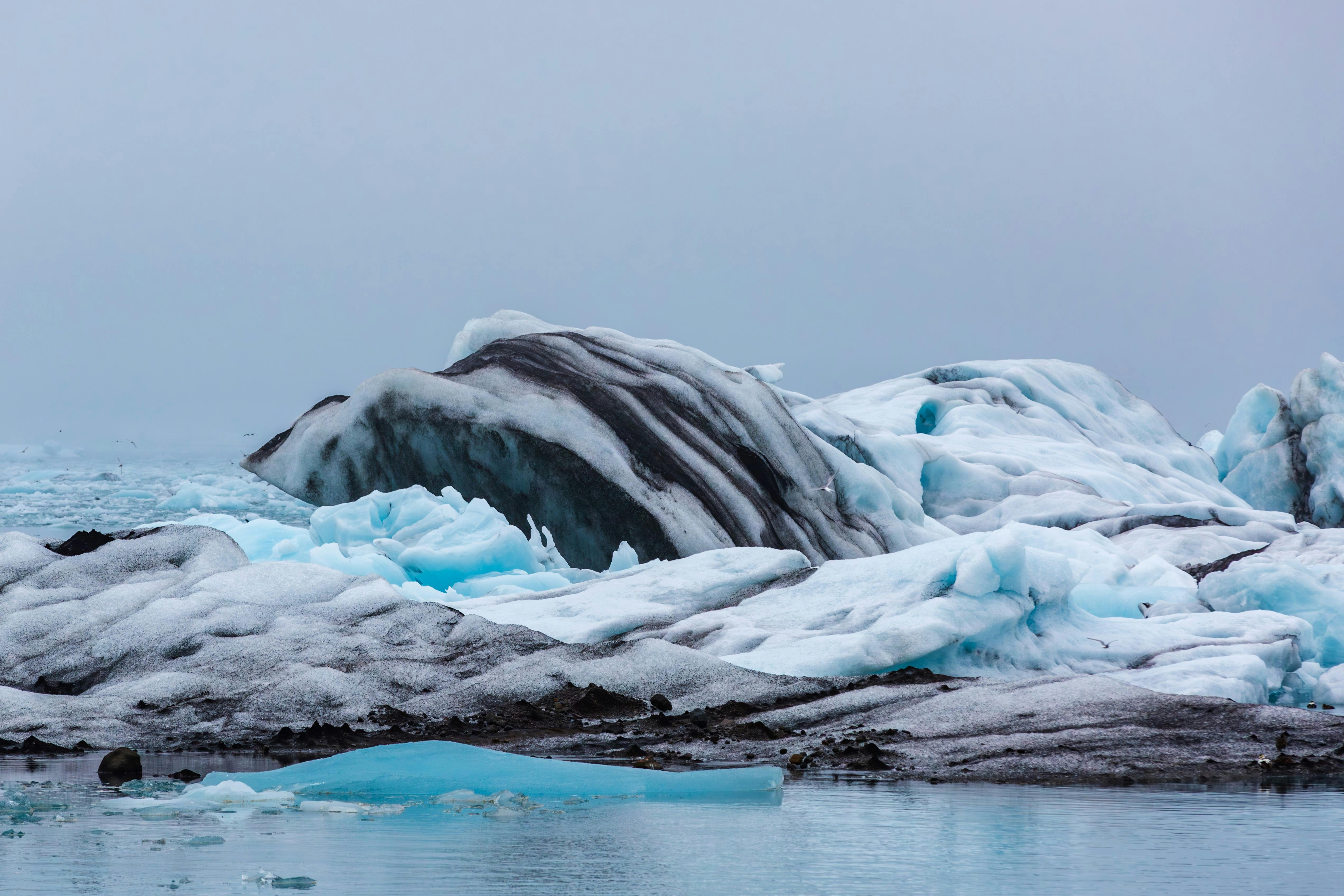 ICE, Climate Bonds Initiative Partner to Strengthen Sustainable Bond Data Transparency — Photo by Fahad AlAni on Pexels