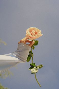 A delicate peach rose is gracefully held against a clear blue sky, evoking elegance and nature's beauty.