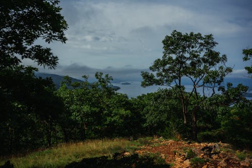 地平線, 夏天, 多雲的 的 免費圖庫相片