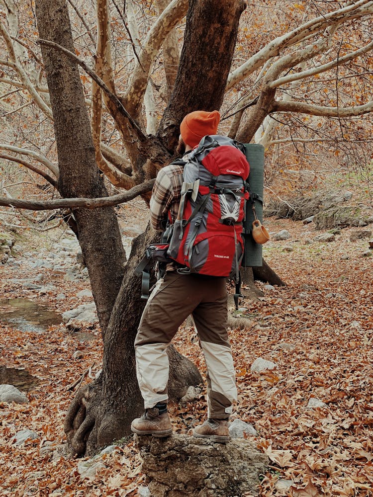 Man Hiking In Forest