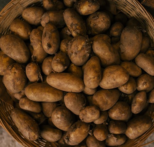 Ingyenes stockfotó bőség, burgonya, friss témában