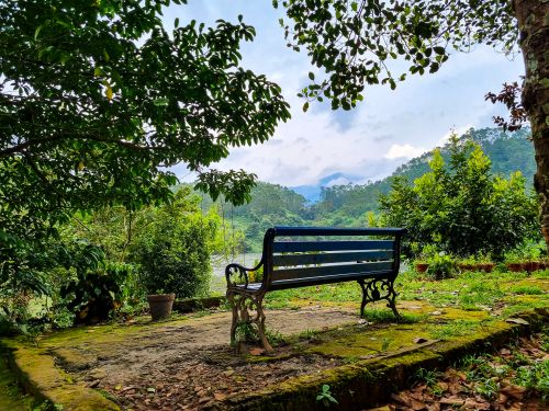 Free Nature Stock Photo