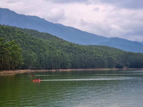 Free Nature  Stock Photo