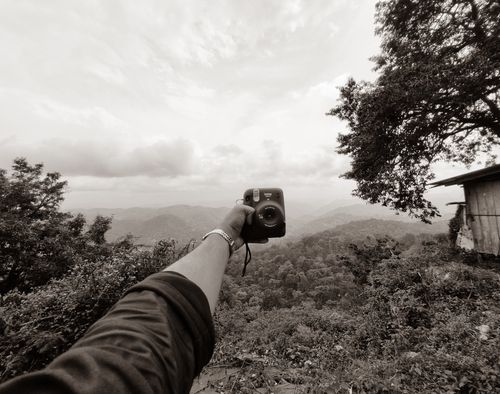 Free Nature  Stock Photo