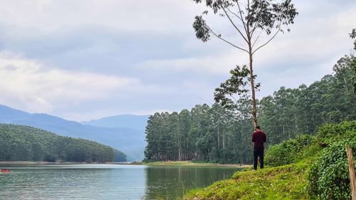 Free Nature  Stock Photo