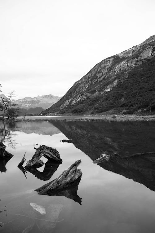 bezplatná Základová fotografie zdarma na téma břeh jezera, černobílý, jezero Základová fotografie