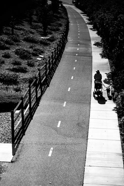 Základová fotografie zdarma na téma černobílý, chodník, chodníky