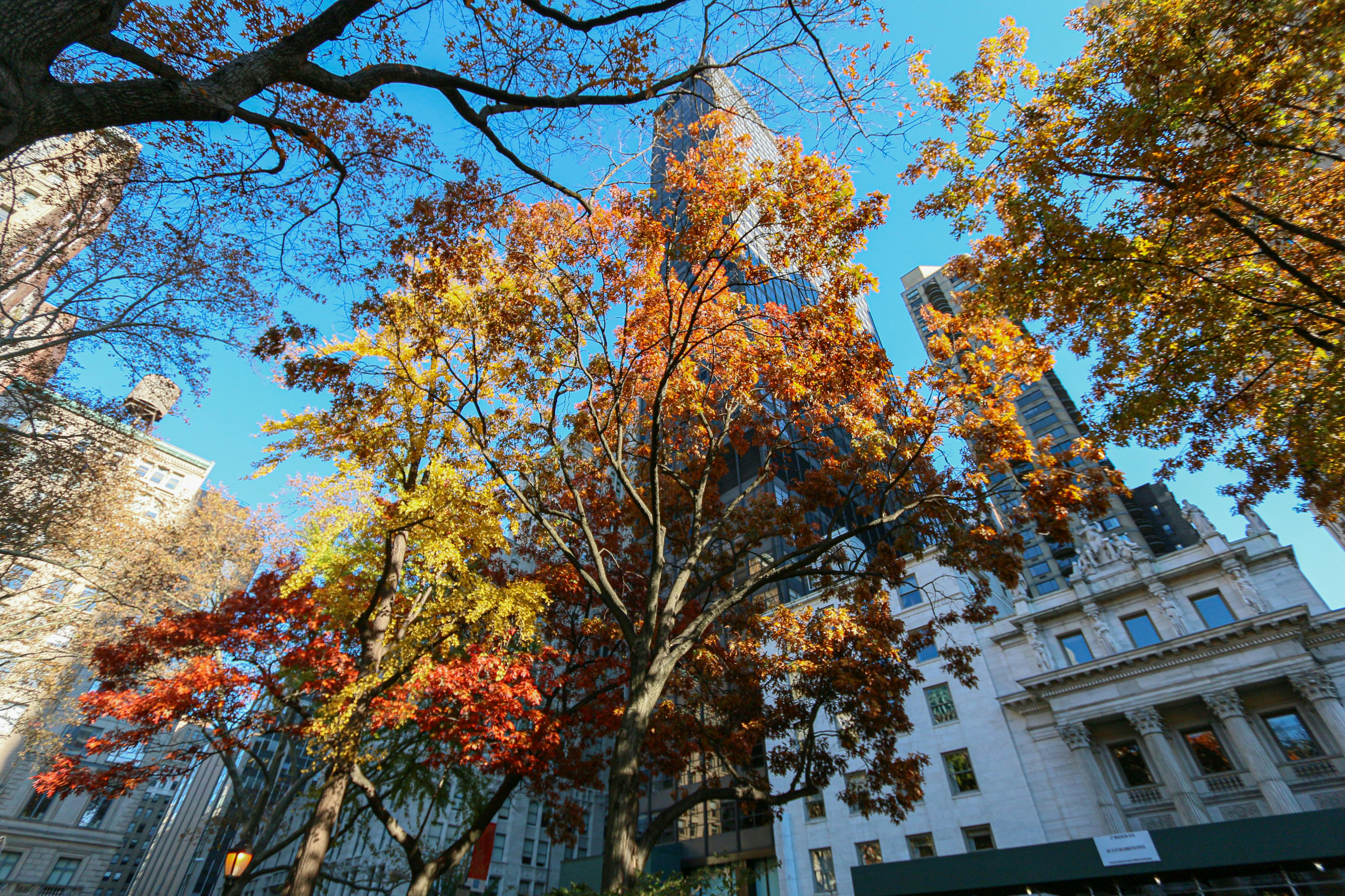 Gratis stockfoto met amerika, architectuur, Azië Stockfoto