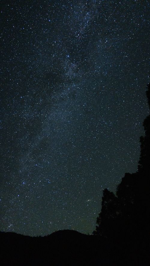 Free A captivating view of a starry night sky with a silhouette of trees seen outdoors. Stock Photo