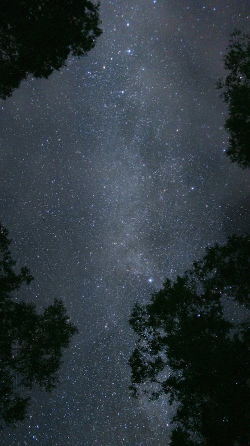 Ücretsiz dikey atış, galaksi, gece içeren Ücretsiz stok fotoğraf Stok Fotoğraflar