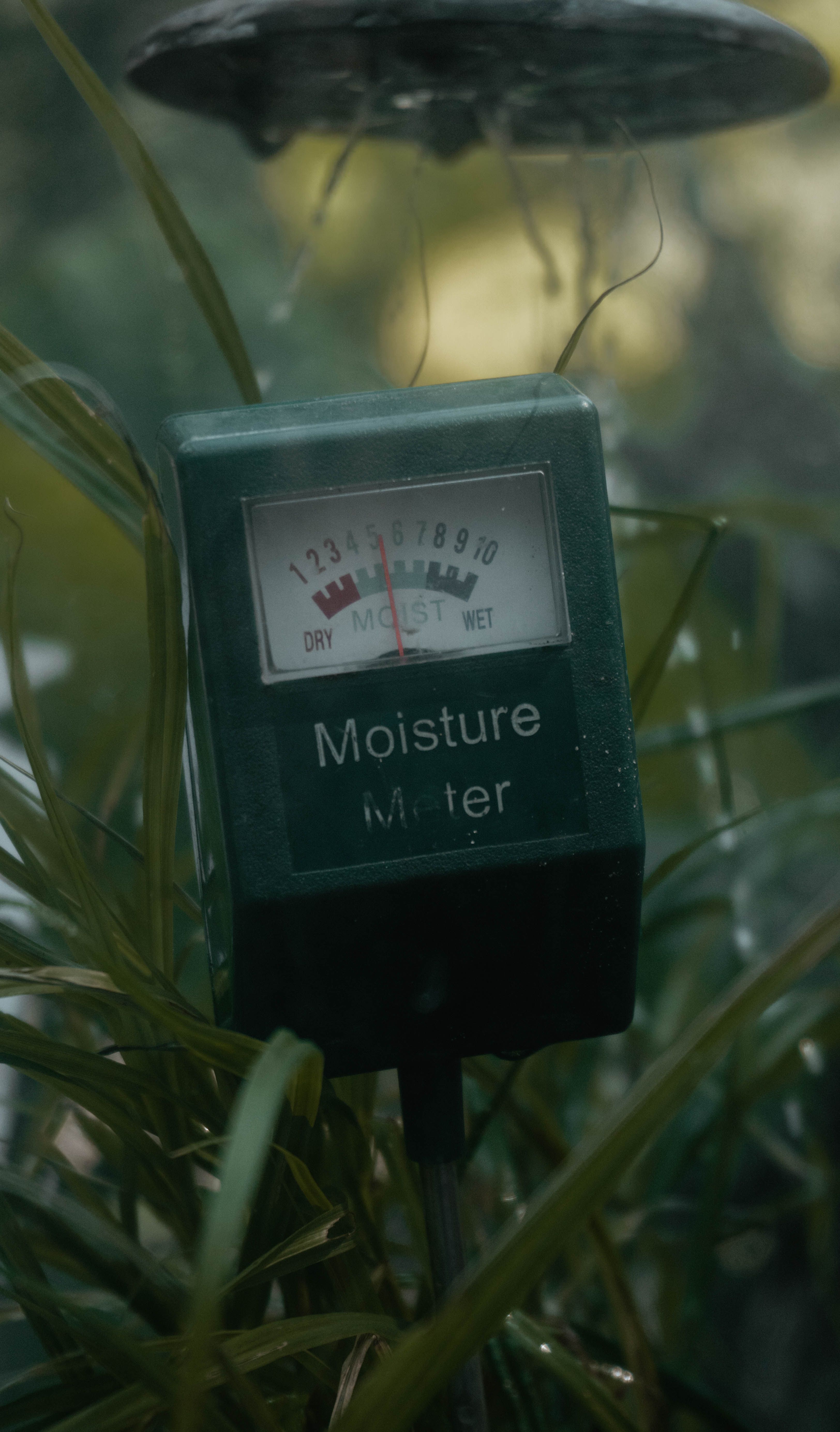 Best Smart Plant Sensors of 2026