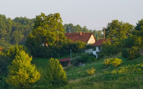 Free Idyllic countryside view of a village with lush green trees and rustic houses in warm daylight. Stock Photo