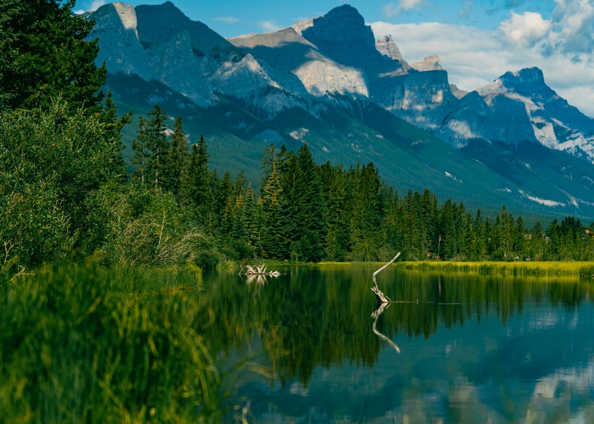 Mountain lake reflection summer