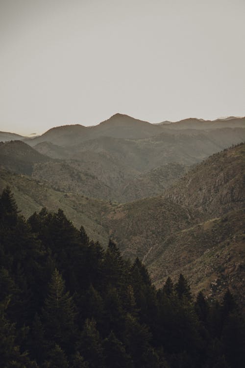 Δωρεάν στοκ φωτογραφιών με βουνά, δασικός, κατακόρυφη λήψη Φωτογραφία από στοκ φωτογραφιών