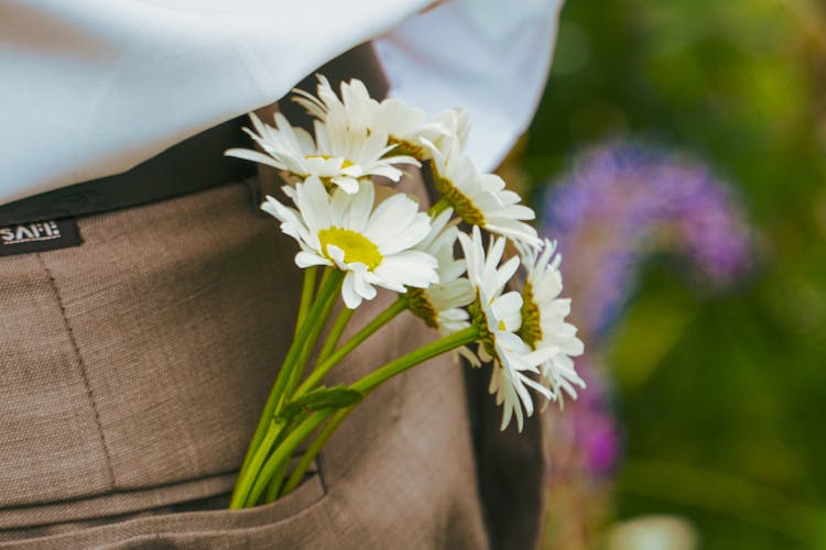 White Daisies In Pocket