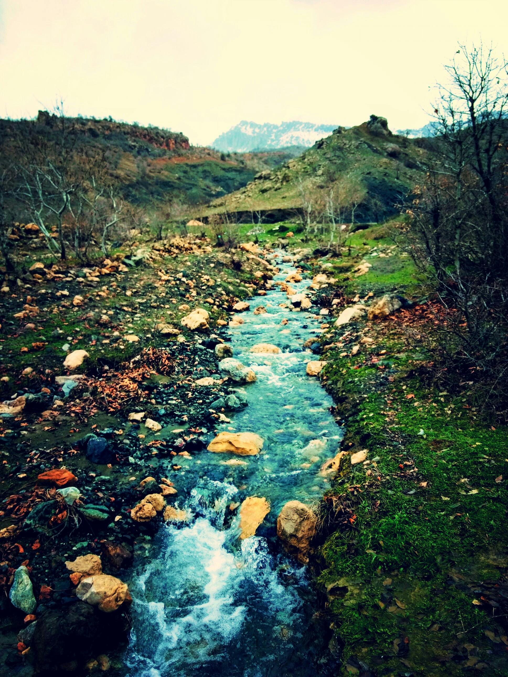 Free stock photo of nature, turkey