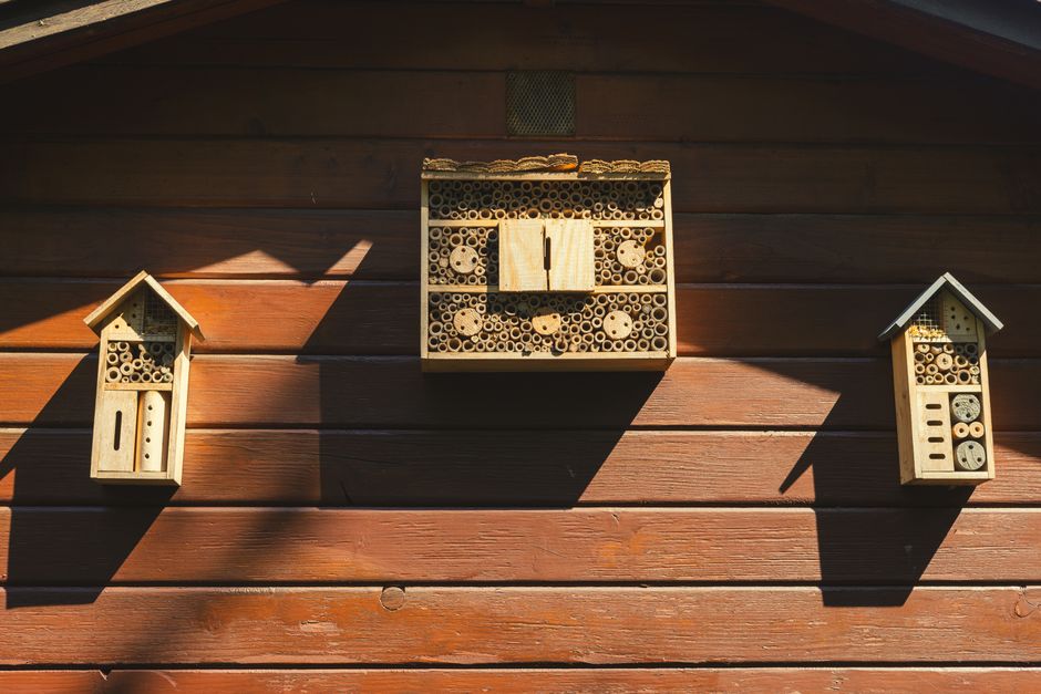 Ottawa Gardeners: Build a Backyard Bee House This Weekend