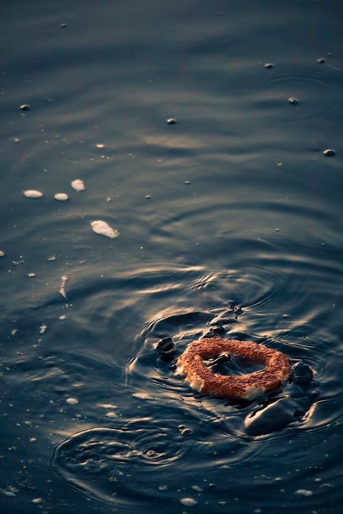 Turkish Bread on Water