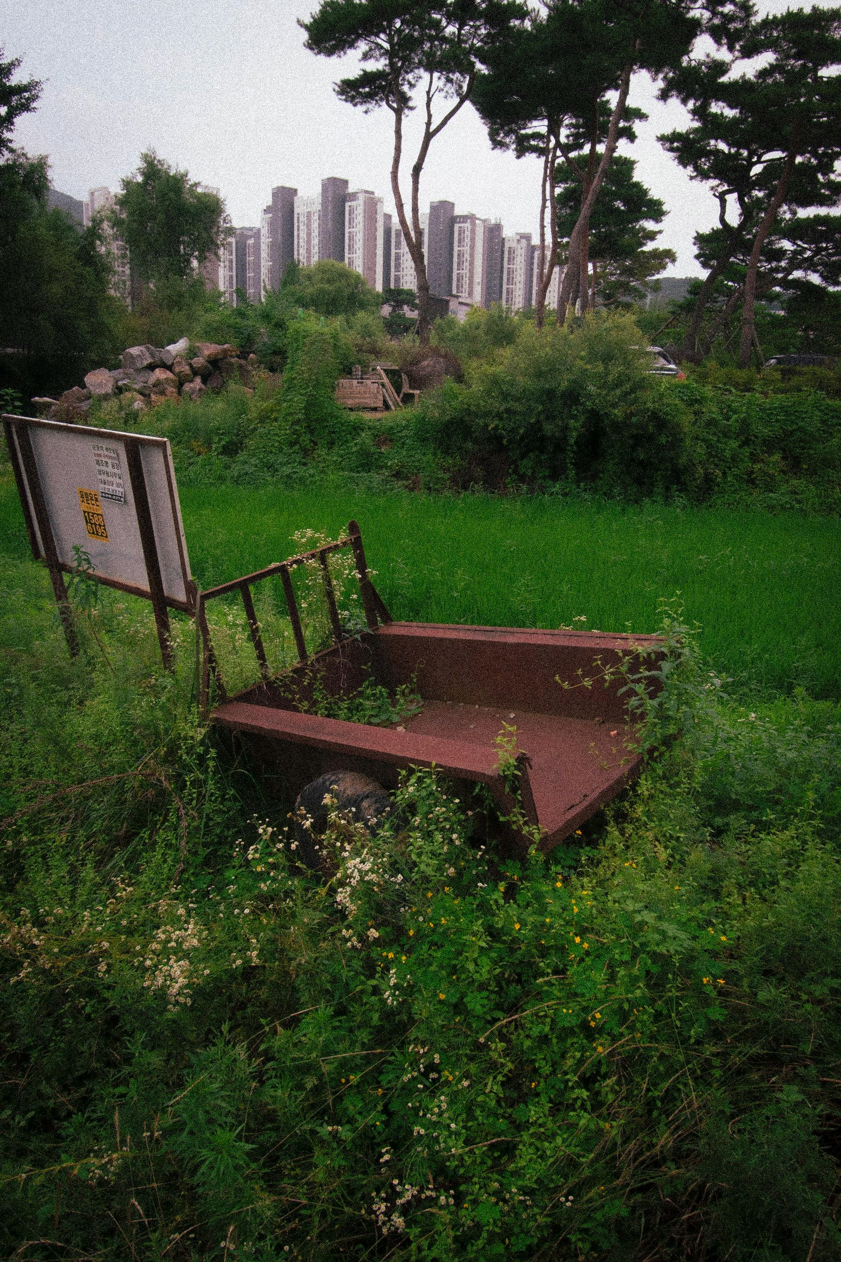 Junsu Park - Photography