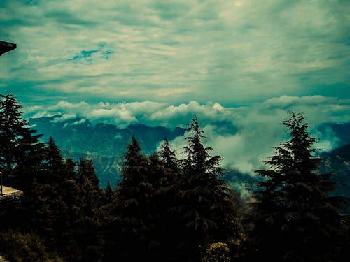 Kostenloses Stock Foto zu blau, blauer himmel