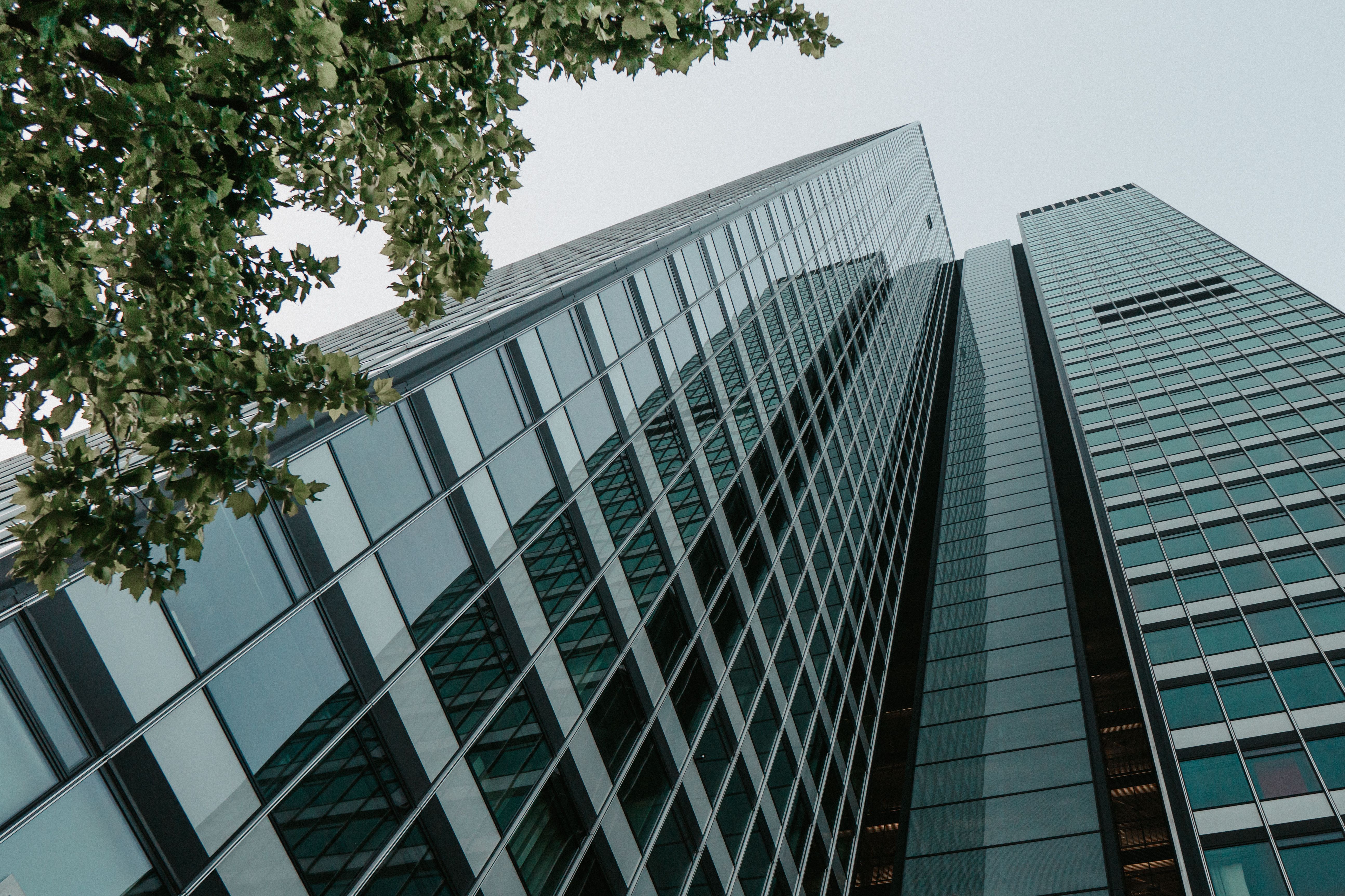 Corporate Governance: The “G” in ESG — Photo by Masood Aslami on Pexels