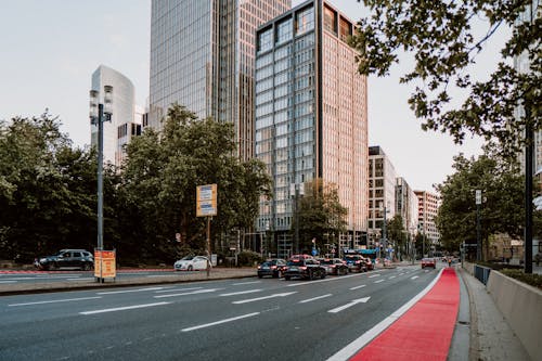 Fotos de stock gratuitas de arboles, calle, calles de la ciudad